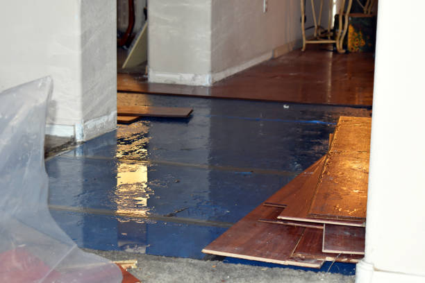 Professional Sewage Cleanup technician working in Pompeii, MI